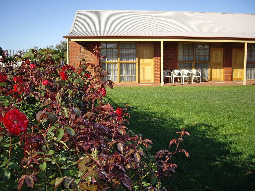 Coonawarra Place Motor Inn Ngoại thất bức ảnh