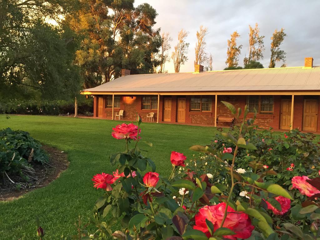 Coonawarra Place Motor Inn Ngoại thất bức ảnh