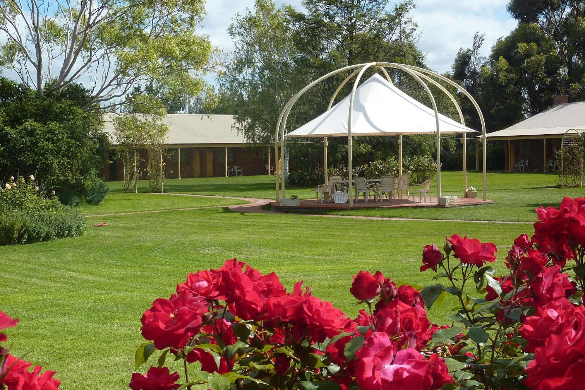 Coonawarra Place Motor Inn Ngoại thất bức ảnh