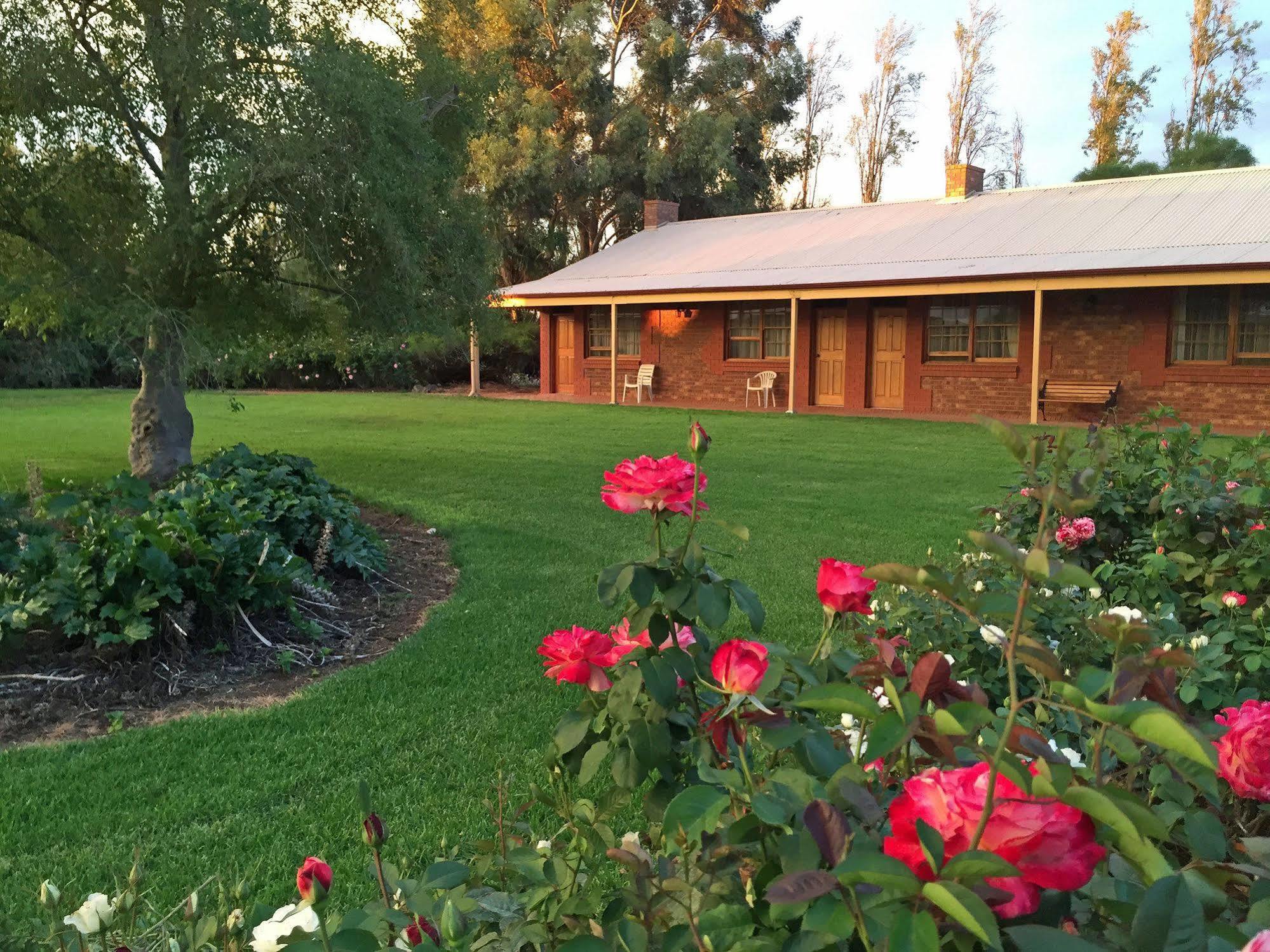 Coonawarra Place Motor Inn Ngoại thất bức ảnh